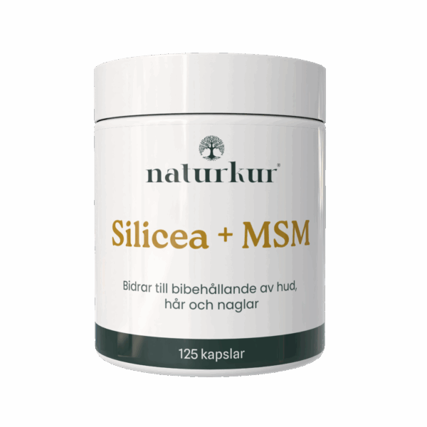 Silicea + MSM